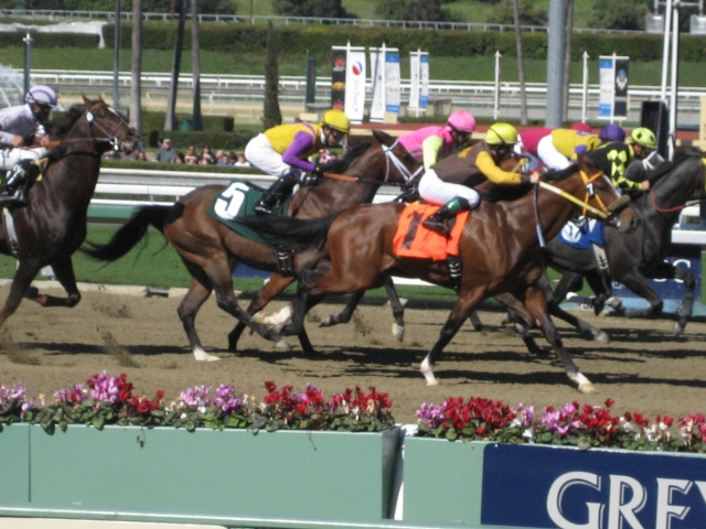 Longshot, Golden Augusto (foreground), on way to a win for Franklin HS 60 and Owners Bob and Luanne Bean